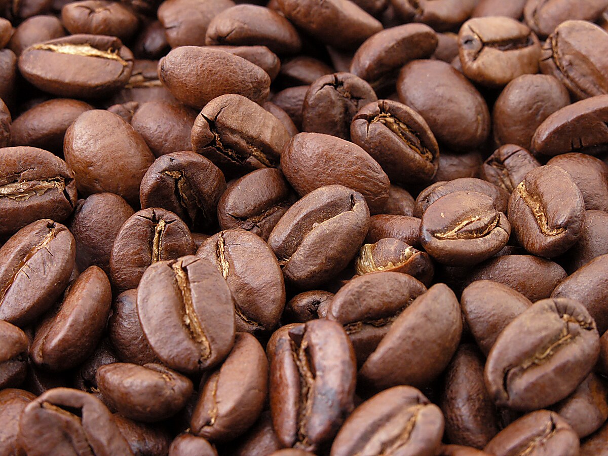 Pods vs Beans: Which Coffee Style Suits You Best?