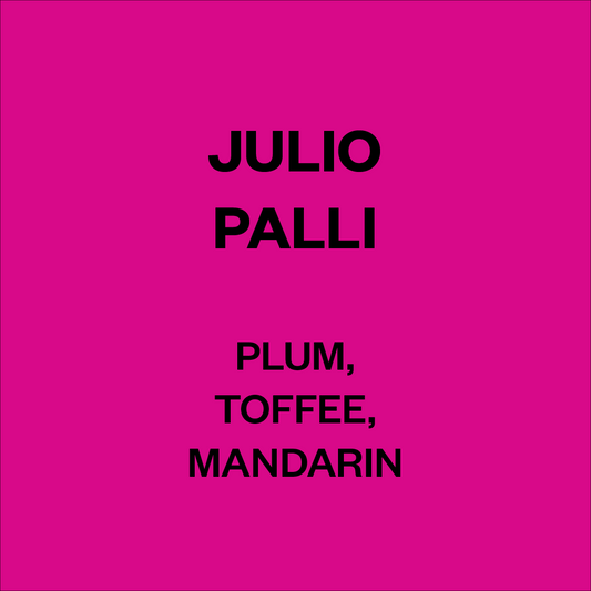 JULIO PALLI, BOLIVIA