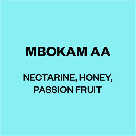 Mbokam AA, Kenya