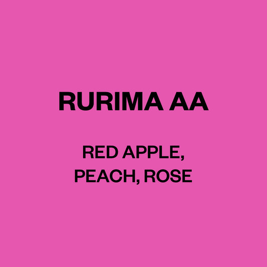 Rurima AA, Kenya