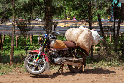 HADESO WASHED, ETHIOPIA