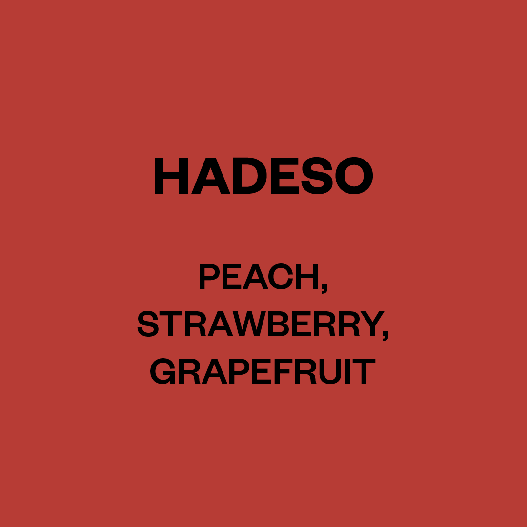 HADESO NATURAL, ETHIOPIA