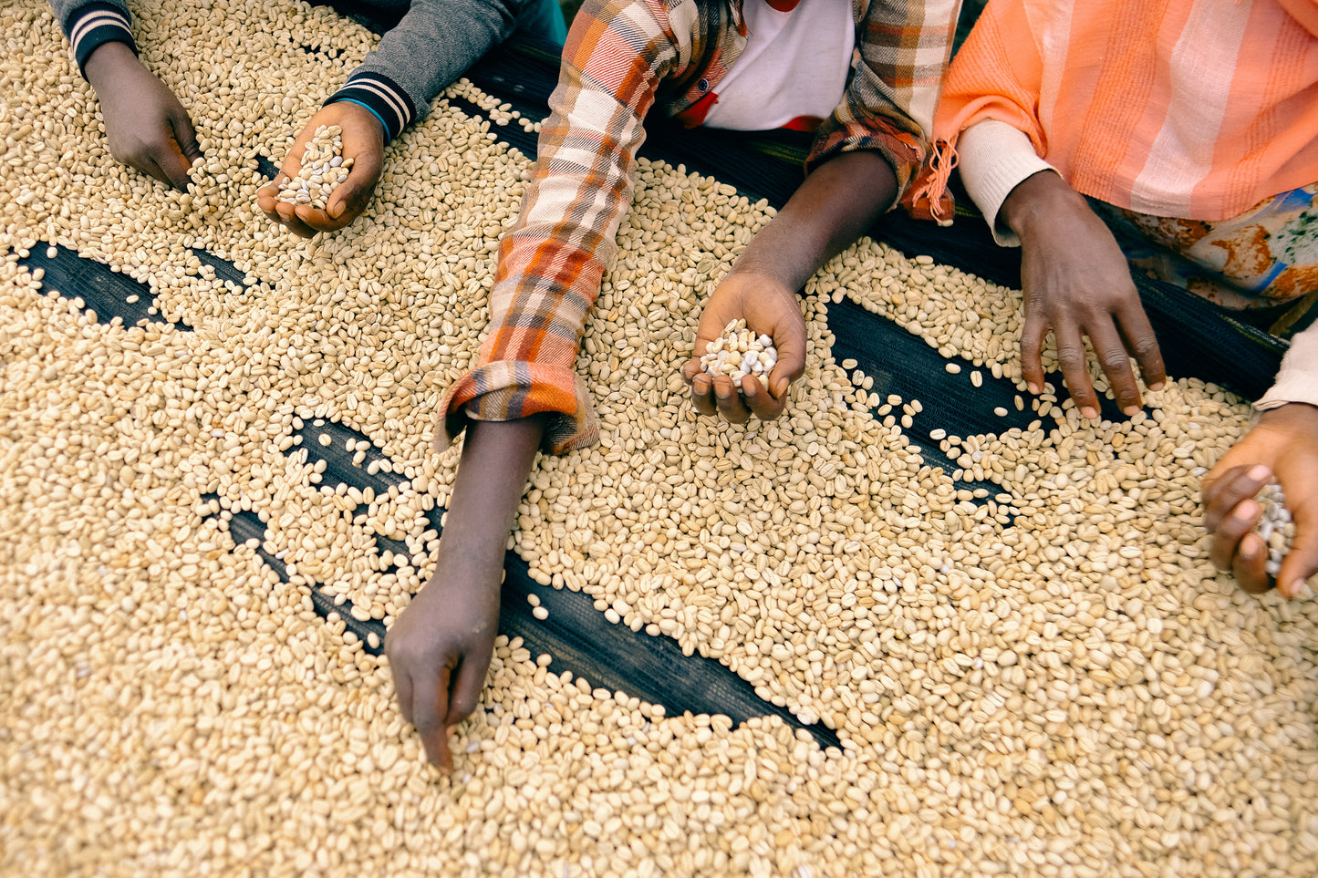 HADESO WASHED, ETHIOPIA