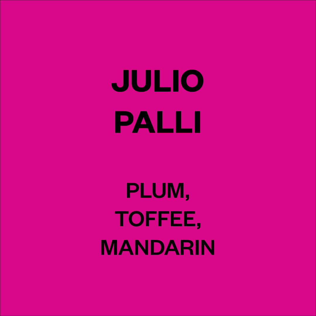 JULIO PALLI, BOLIVIA
