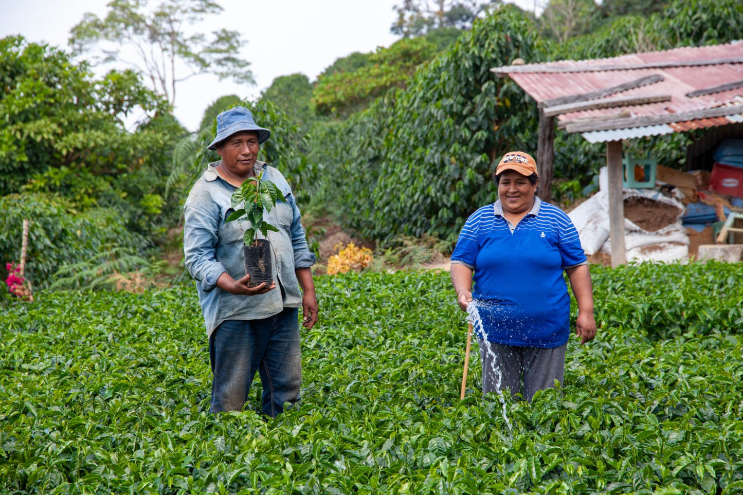 JULIO PALLI, BOLIVIA