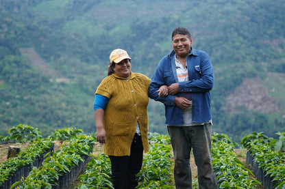 JULIO PALLI, BOLIVIA