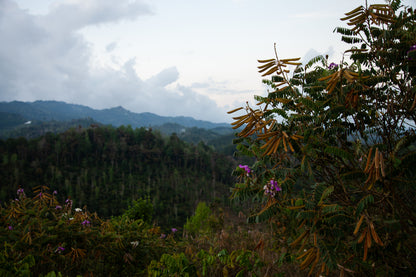 Santa Isabel Las Flores