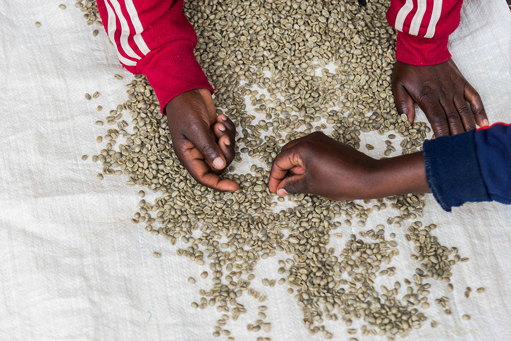 SOVU WOMANS COFFEE, RWANDA