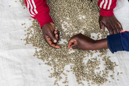 SOVU WOMANS COFFEE, RWANDA