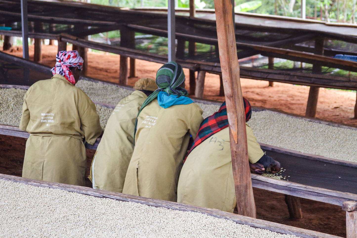 SOVU WOMANS COFFEE, RWANDA