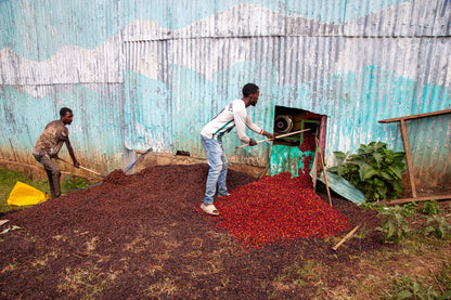 HADESO WASHED, ETHIOPIA